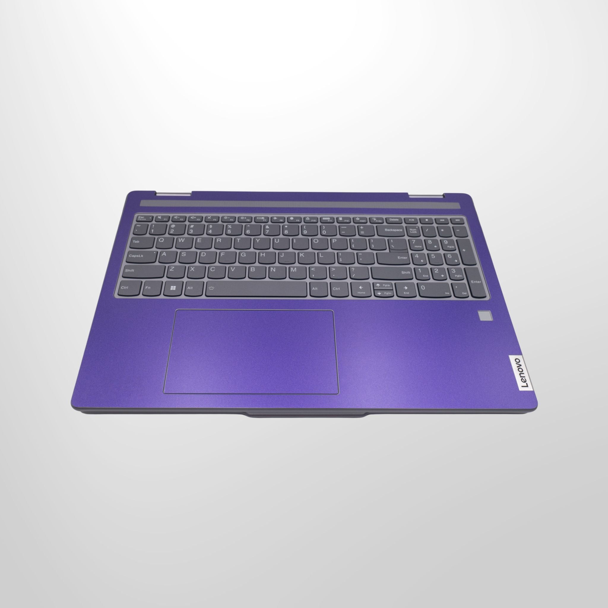 Metallic Purple