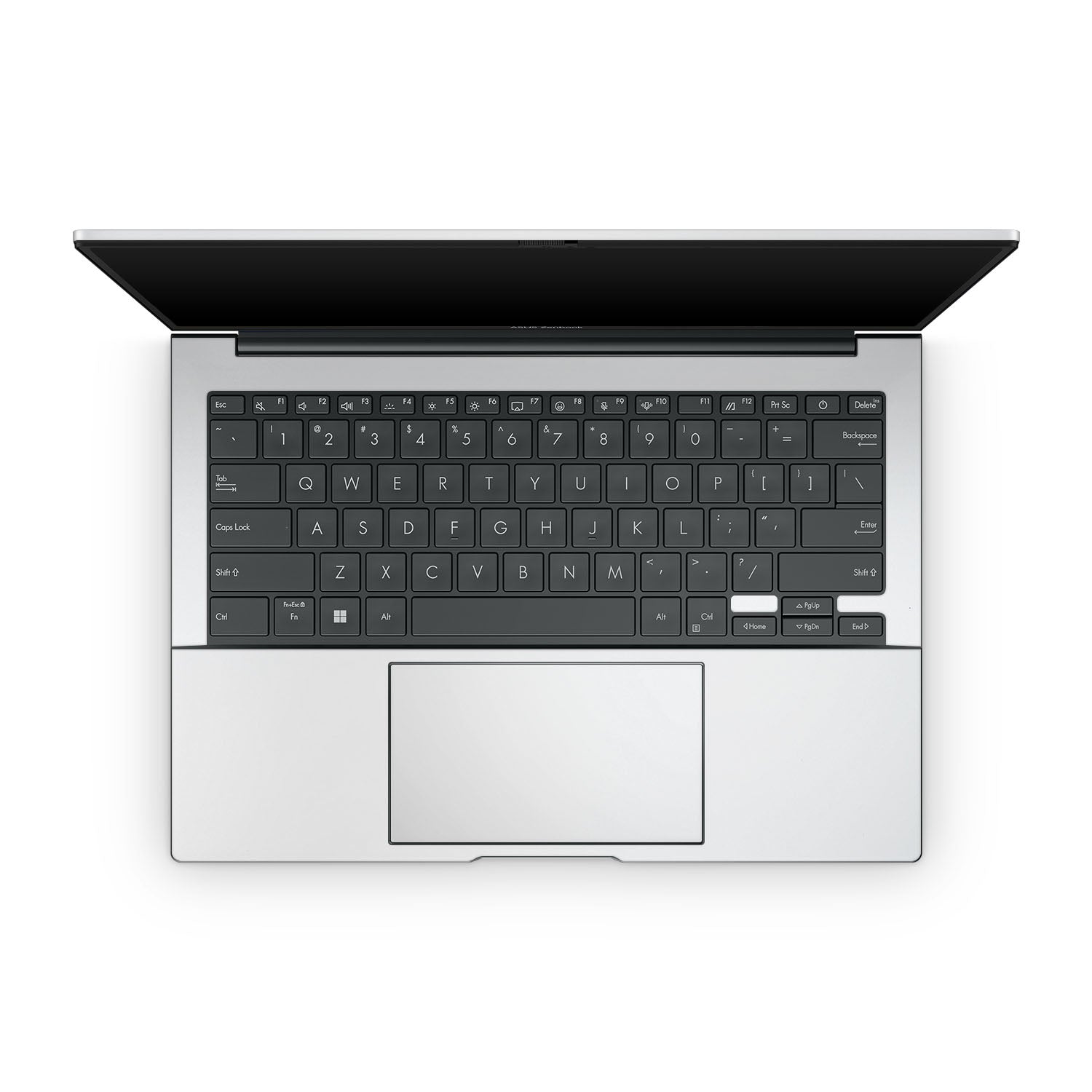 Asus Zenbook 14 OLED (2024) Skins