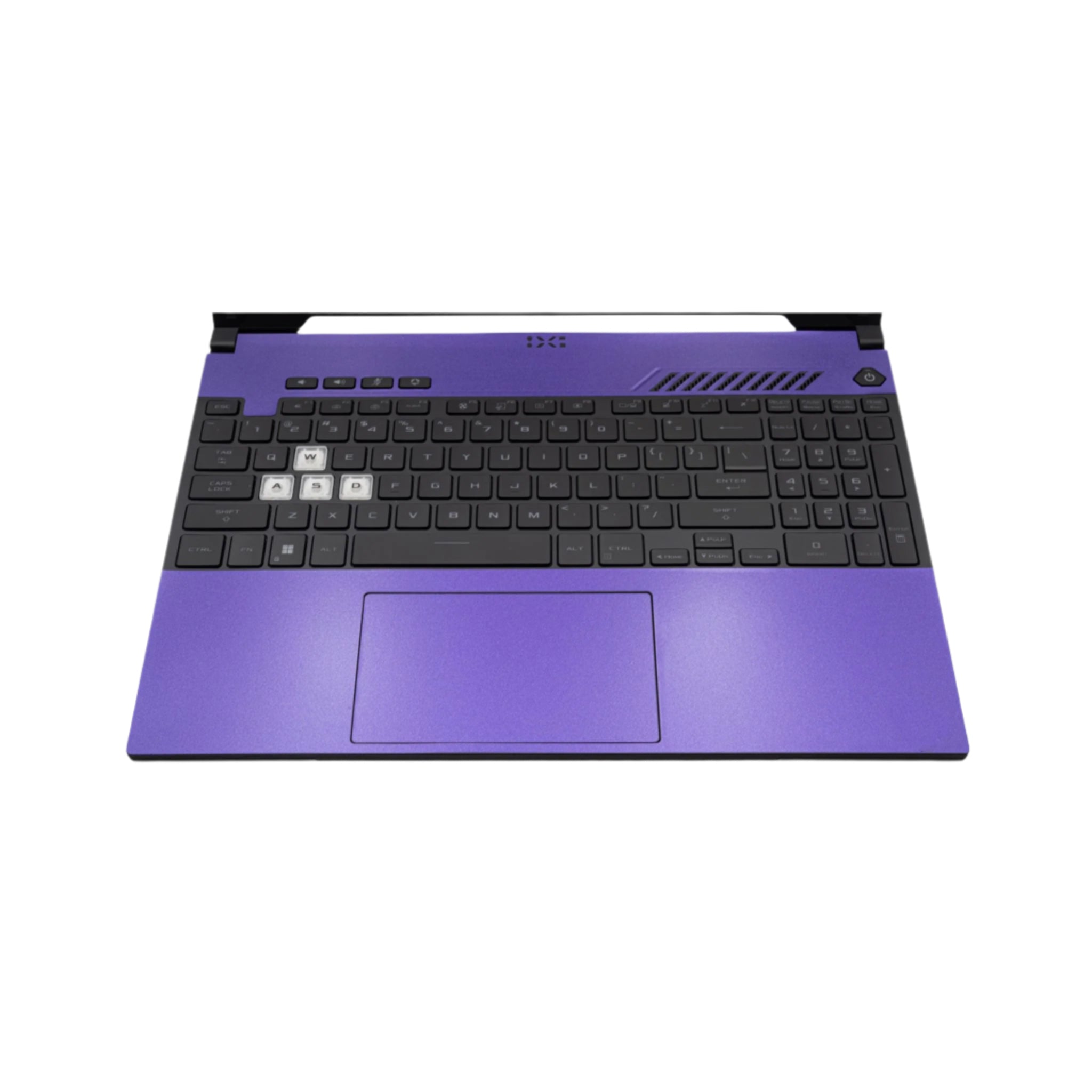 Metallic Purple