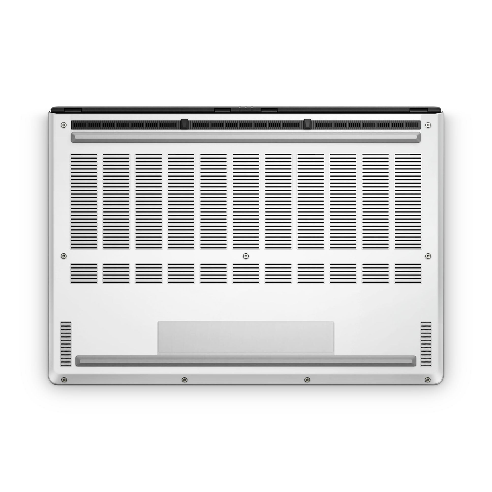 Asus Zephyrus G14 (2024-2025) Skins