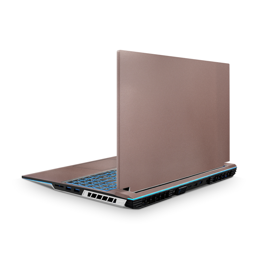 Eluktronics Prometheus XVI G2 (2023) Skins