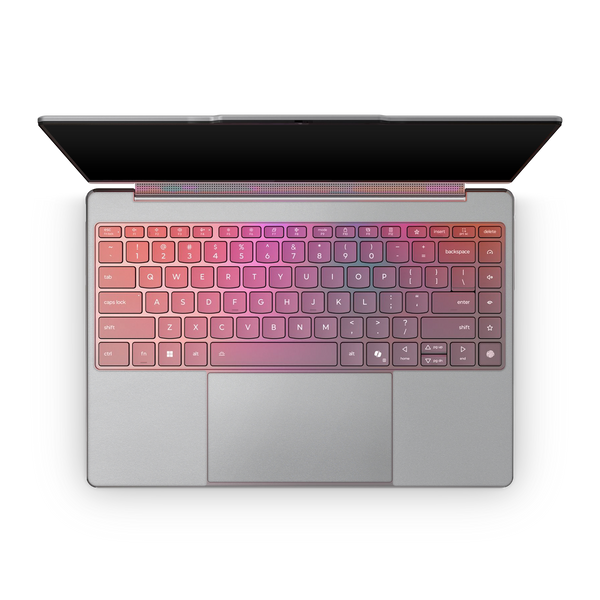 Laptop Skins