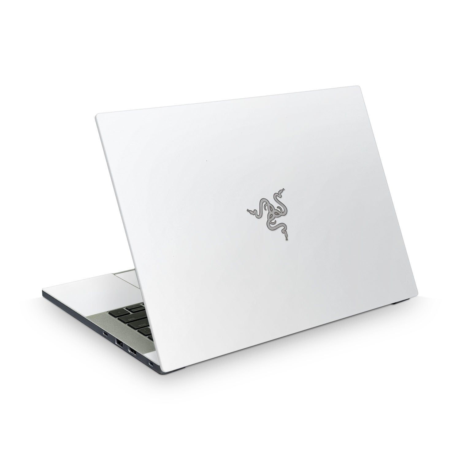 Razer Blade 14 (2025) Skins