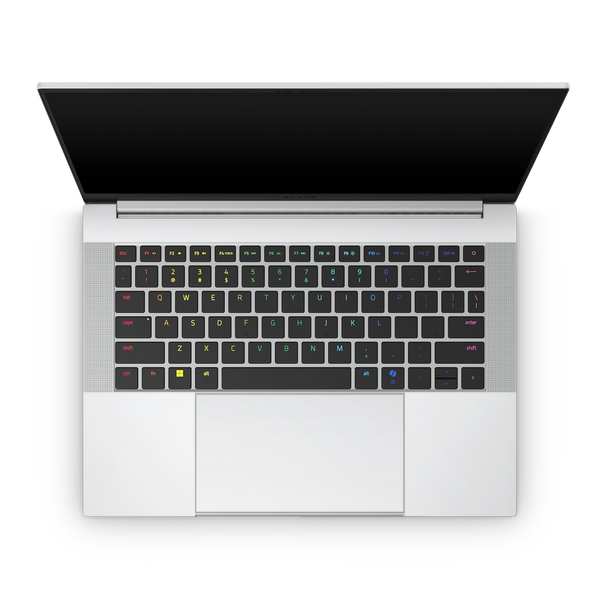 Razer Laptop Skins