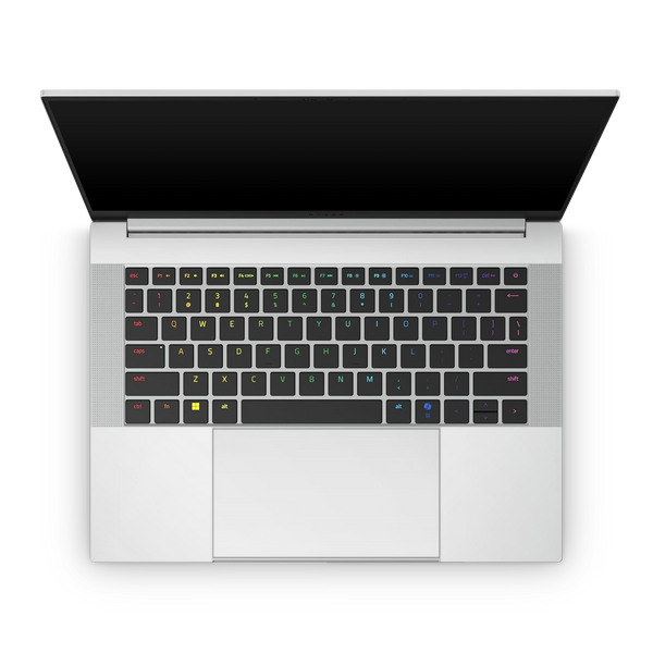 Razer Laptop Skins