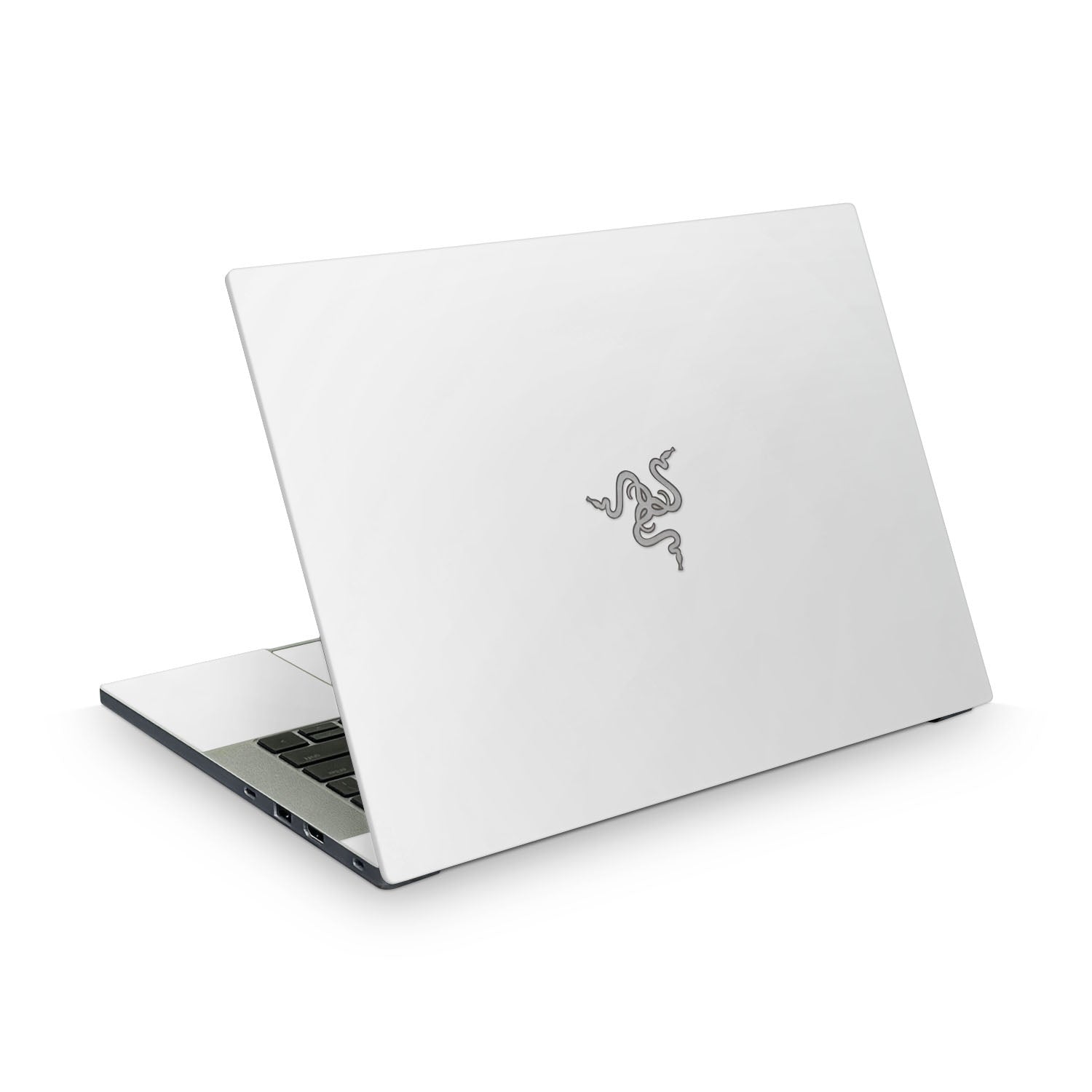 Razer Blade 14 (2025) Skins